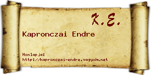 Kapronczai Endre névjegykártya