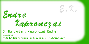 endre kapronczai business card